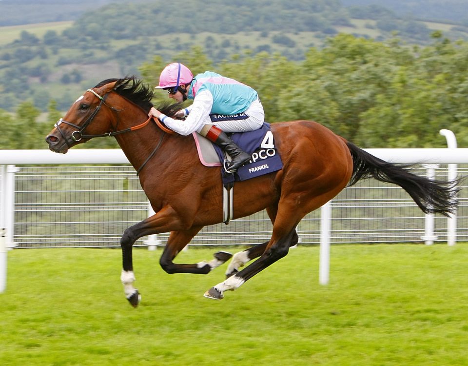 Frankel - Press Association Images