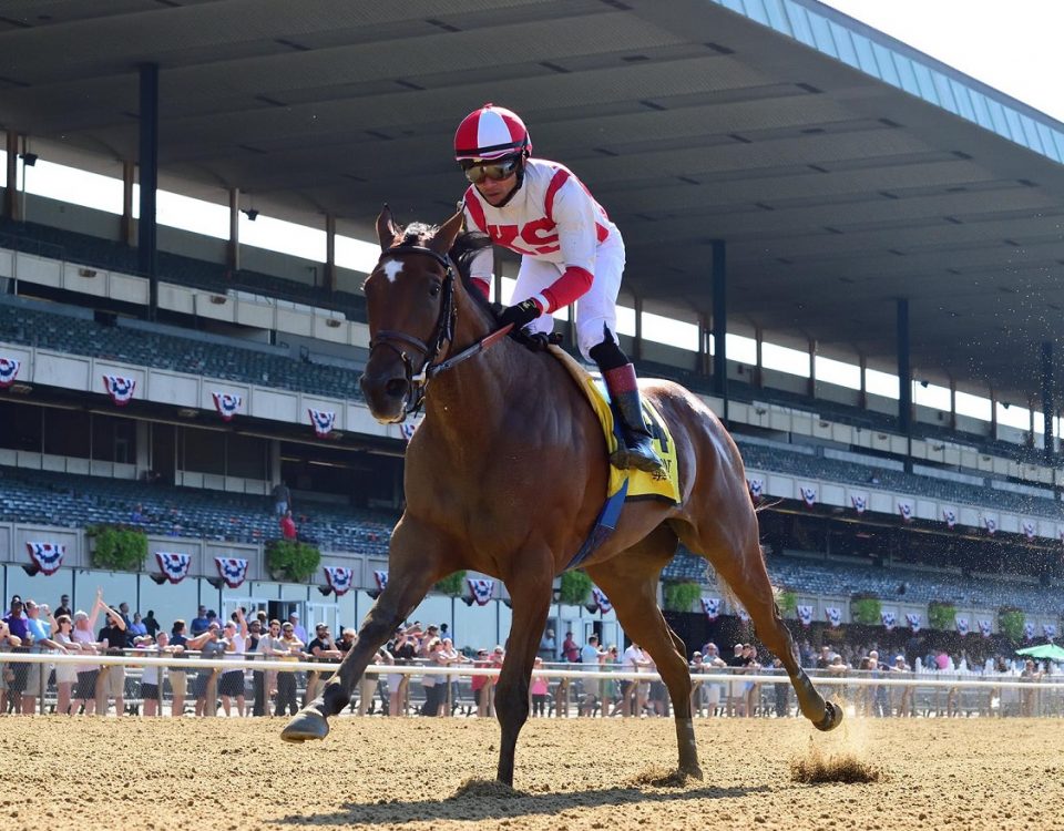 Gerrymander - Mother Goose S. - Coglianese Photo