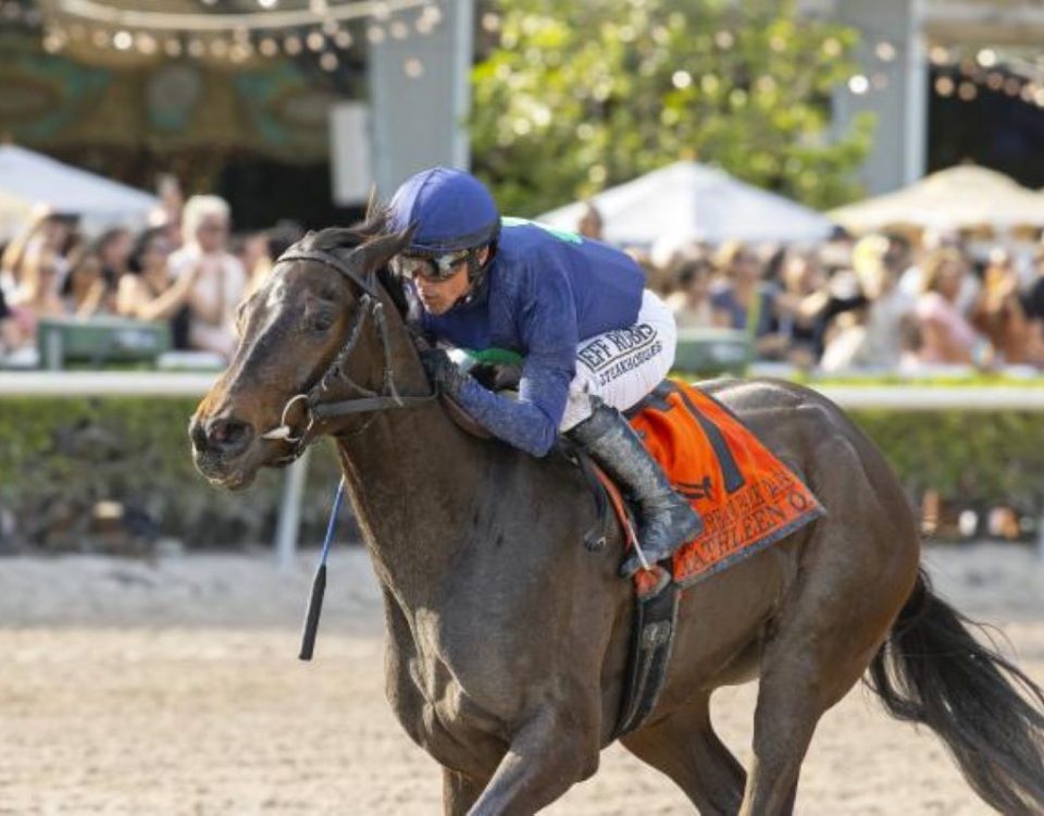 Kathleen O. - Gulfstream Park - Barbara D. Livingston