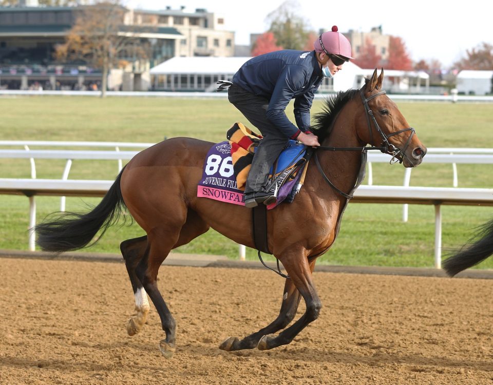 Snowfall - Keeneland - Coady Photography