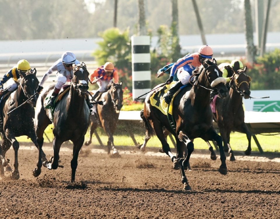 Los Alamitos - Accion - Benoit Photo