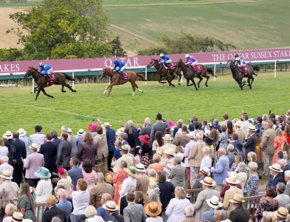 Baaeed - Sussex Stakes - PA Media