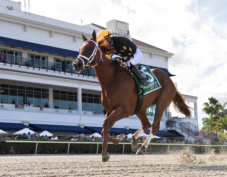 Ce Ce - Princess Rooney - Coglianese Photo