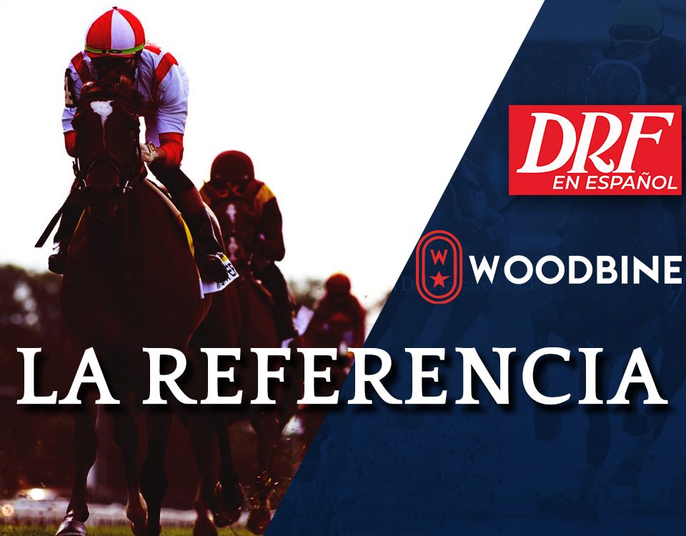 La Referencia - Woodbine