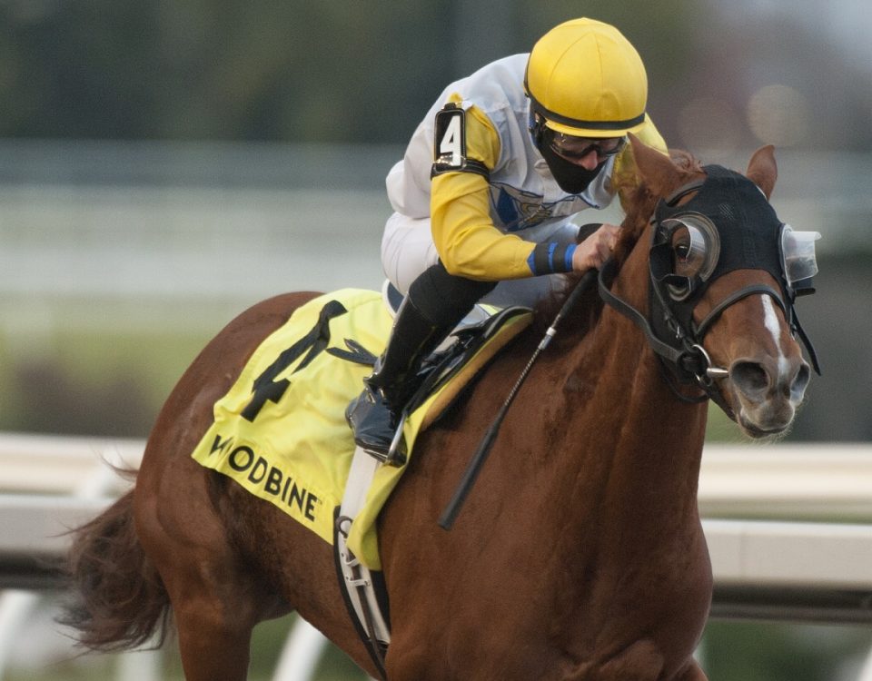 Lady Speightspeare - Bessarabian S - Michael Burns