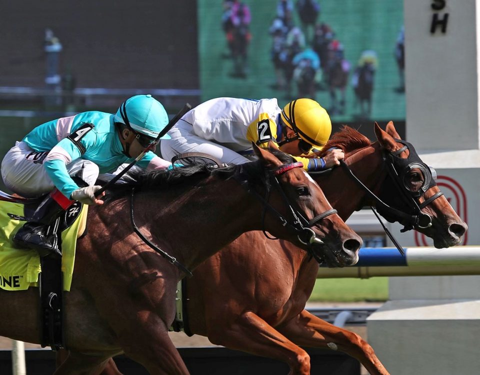 Lady Speightspeare-Crystal Cliffs - Julie Wright