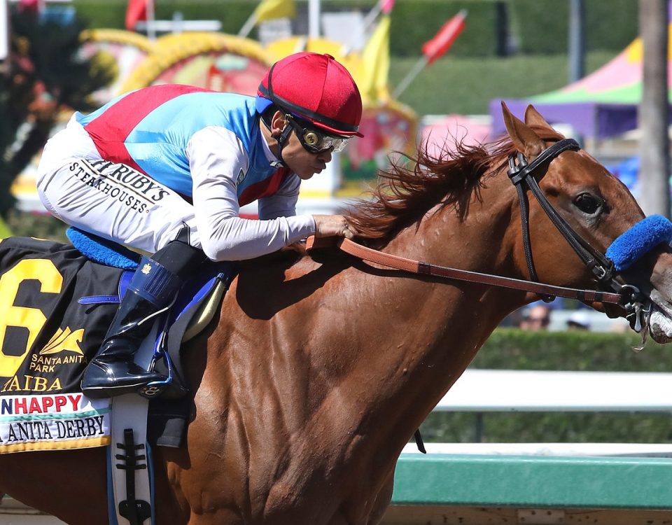 Taiba - Santa Anita Derby - Emily Shields