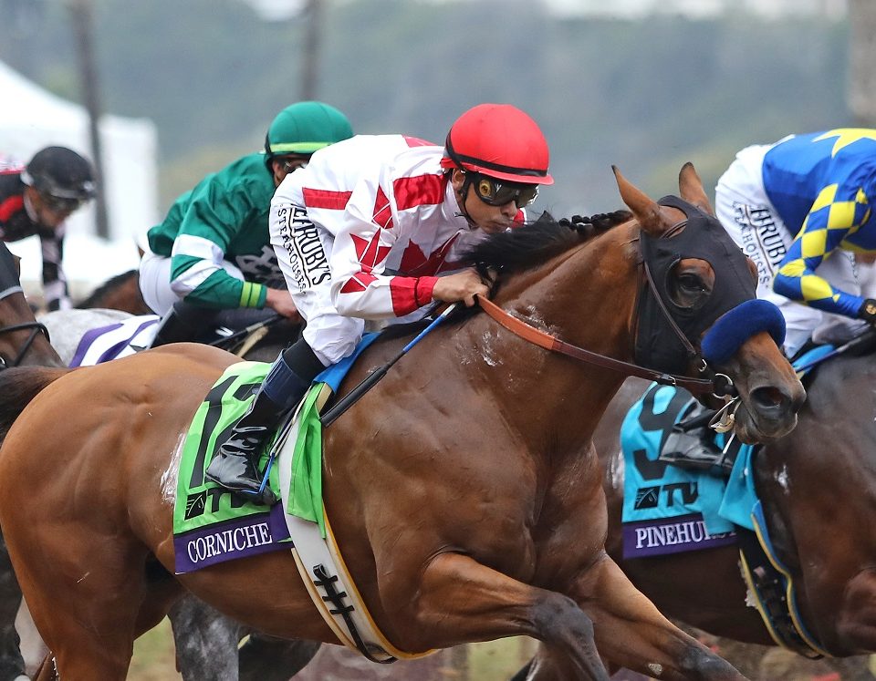 Corniche, under Mike Smith, wins the Breeders' Cup Juvenile at Del Mar Thoroughbred Club on Nov. 5, 2021.