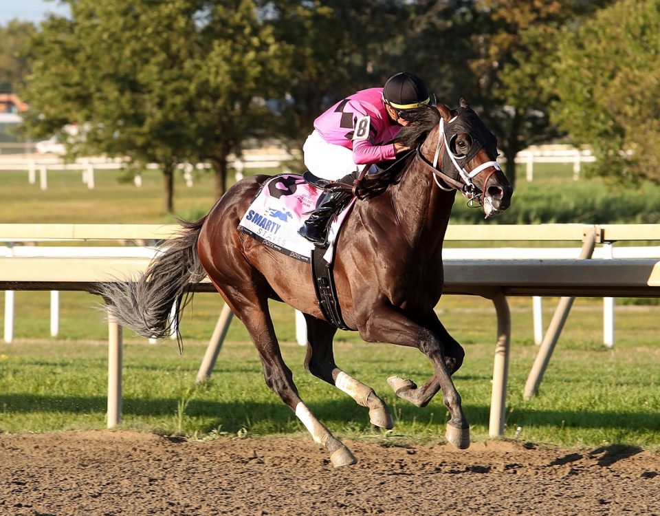 Best Actor - Smarty Jones S - Nikki Sherman EQUI-PHOTO