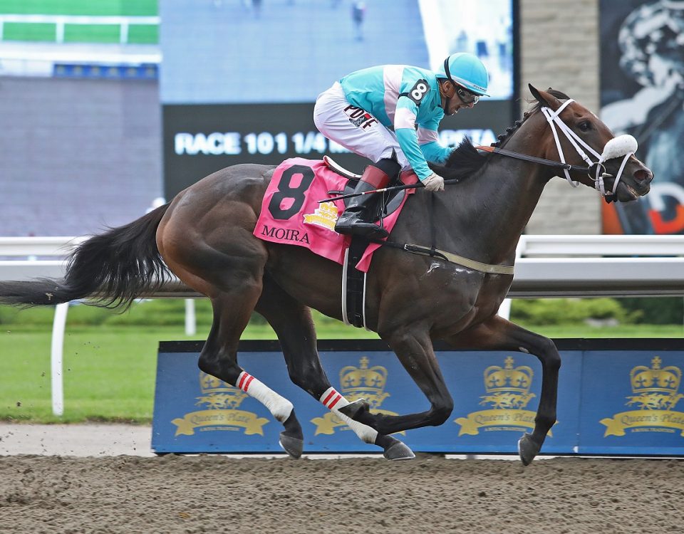 Moira - Queen's Plate S. - Emily Shields