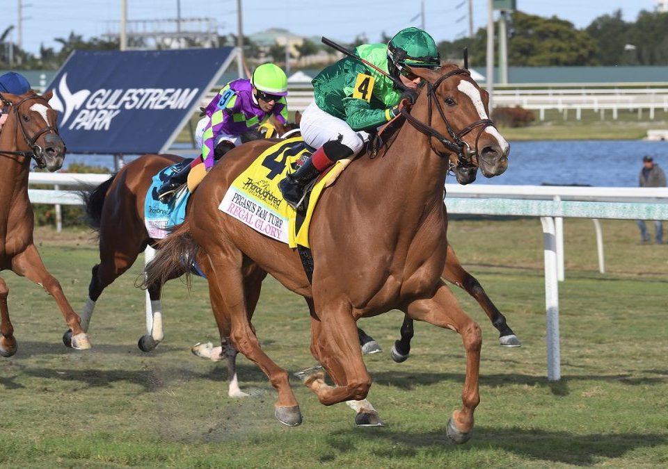 Regal-Glory-the-PWC-Filly-Mare-Turf-credit-Lauren-King-1000x675