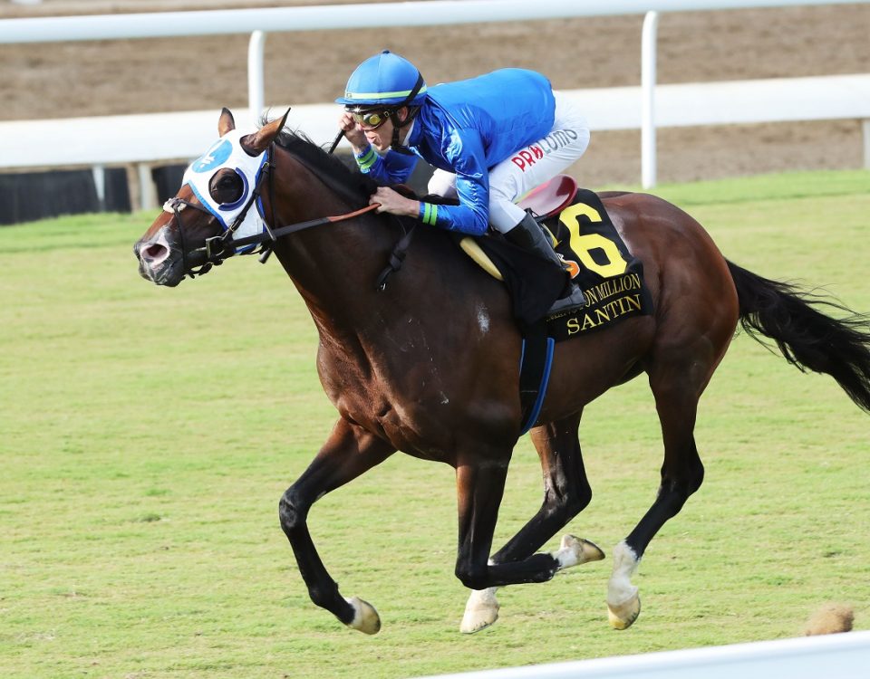 Santin - Arlington Million - Coady Photography