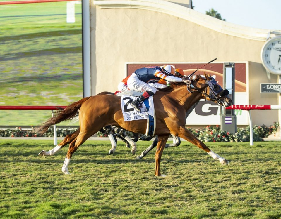 Gold Phoenix - Del Mar Handicap - Benoit Photo