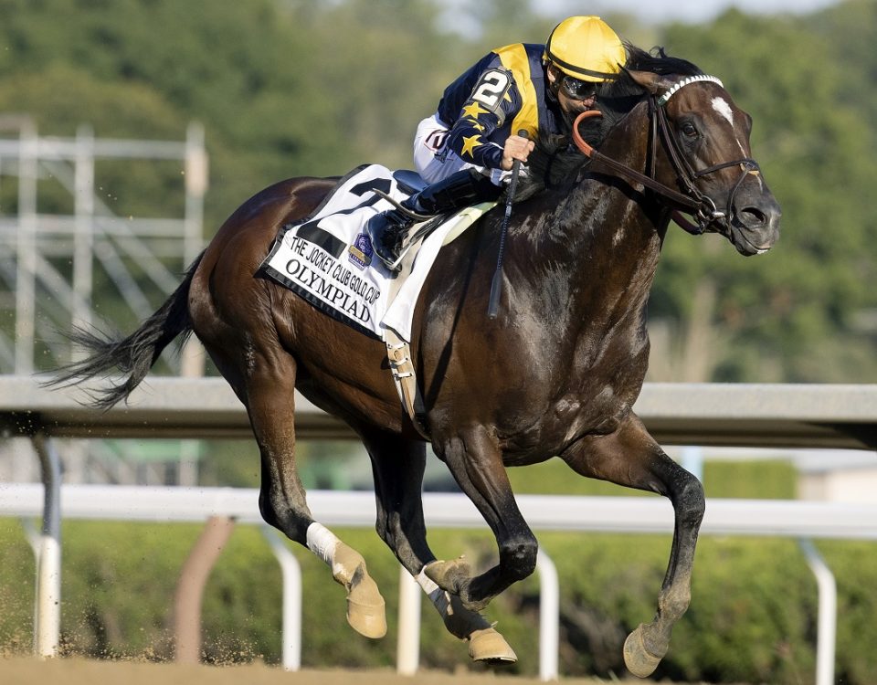 Olympiad - Jockey Club Gold Cup - Barbara D. Livingston