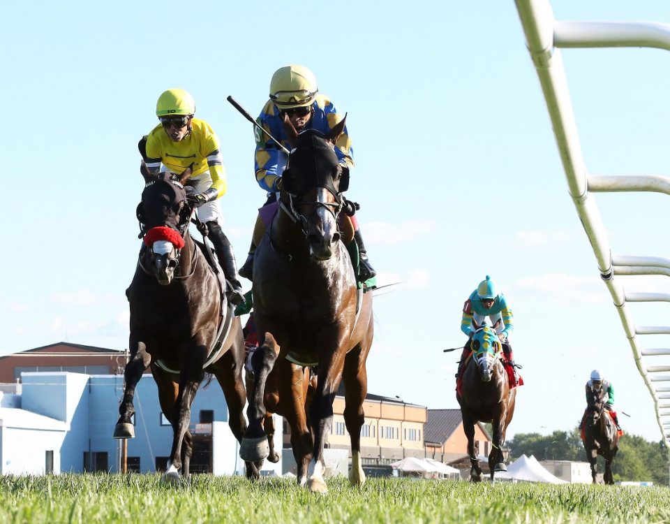 Private Creed - Juvenile Sprint S. - Coady Photography