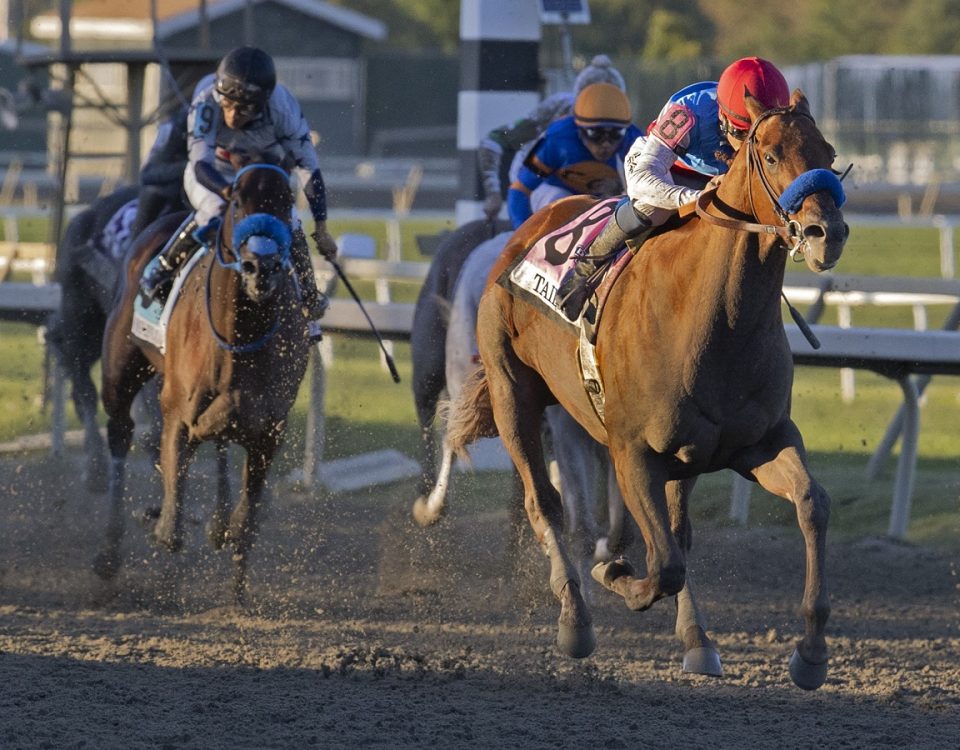 Taiba - Pennsylvania Derby - Barbara D. Livingston