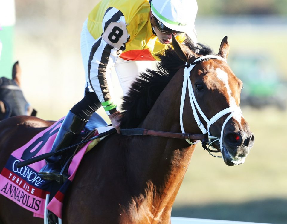 Annapolis - Turf Mile Stakes - Coady Photography