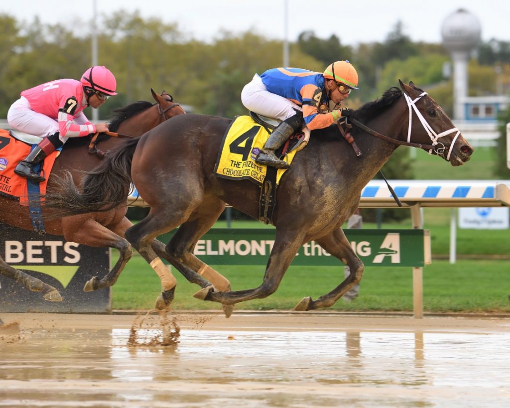 Chocolate Gelato - Frizette S. - Janet Garaguso-Coglianese Photo