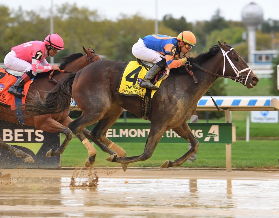 Chocolate Gelato - Frizette S. - Janet Garaguso-Coglianese Photo