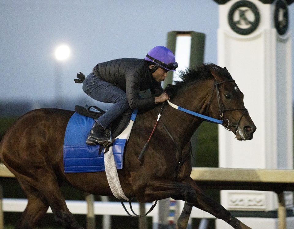 Epicenter - Workout Keeneland - Barbara D. Livingston