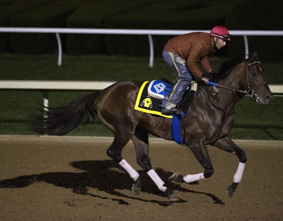 Flightline - Keeneland - Barbara D. Livingston