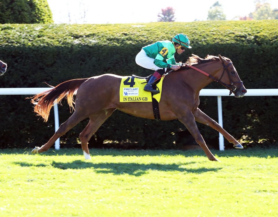 In Italian - First Lady Stakes - Coady Photography