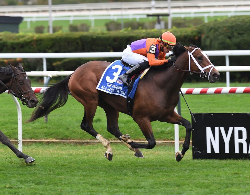 Major Dude - Pilgrim S. - Coglianese Photo