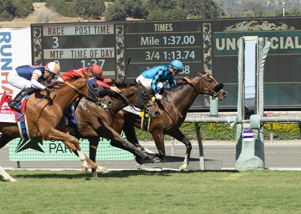 Masteroffoxhounds - John Henry Turf Championship - Benoit Photo