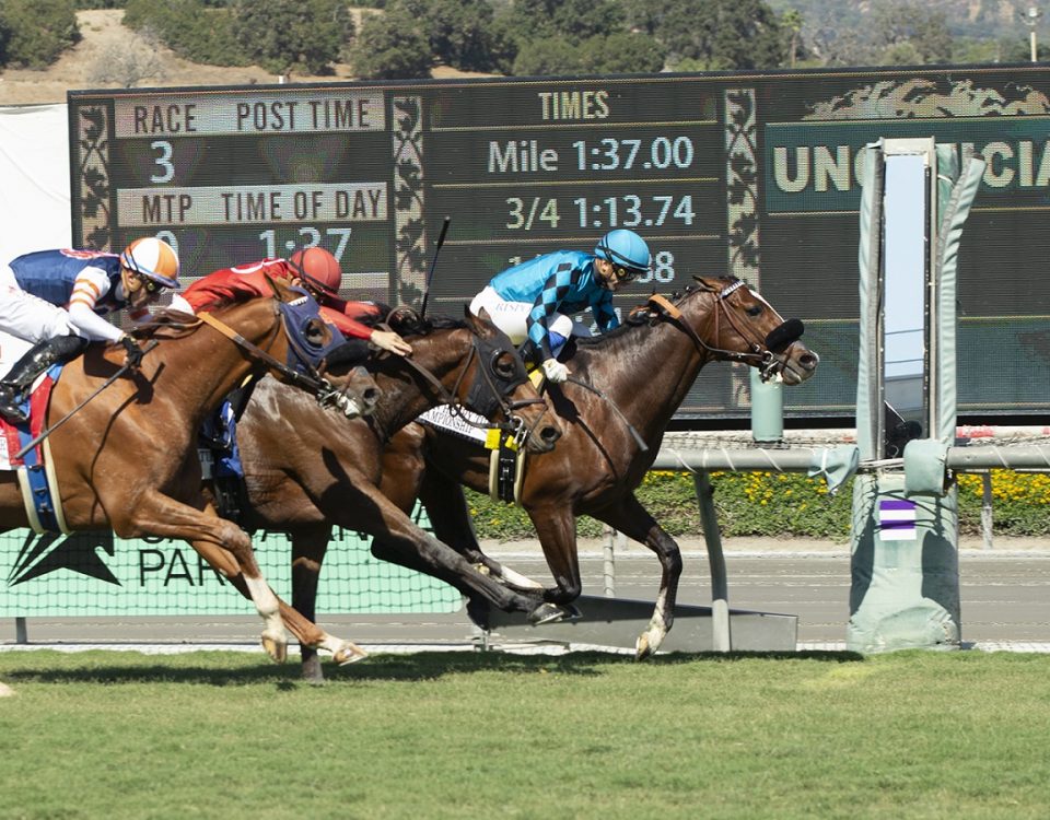 Masteroffoxhounds - John Henry Turf Championship - Benoit Photo