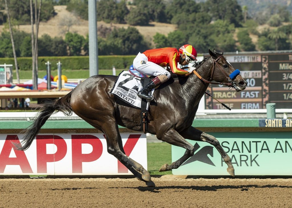 Midnight Memories - Zenyatta S. - Benoit Photo