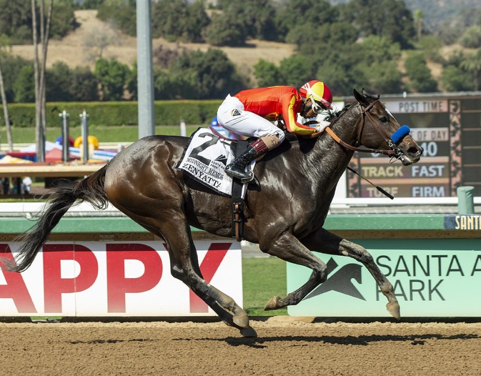 Midnight Memories - Zenyatta S. - Benoit Photo