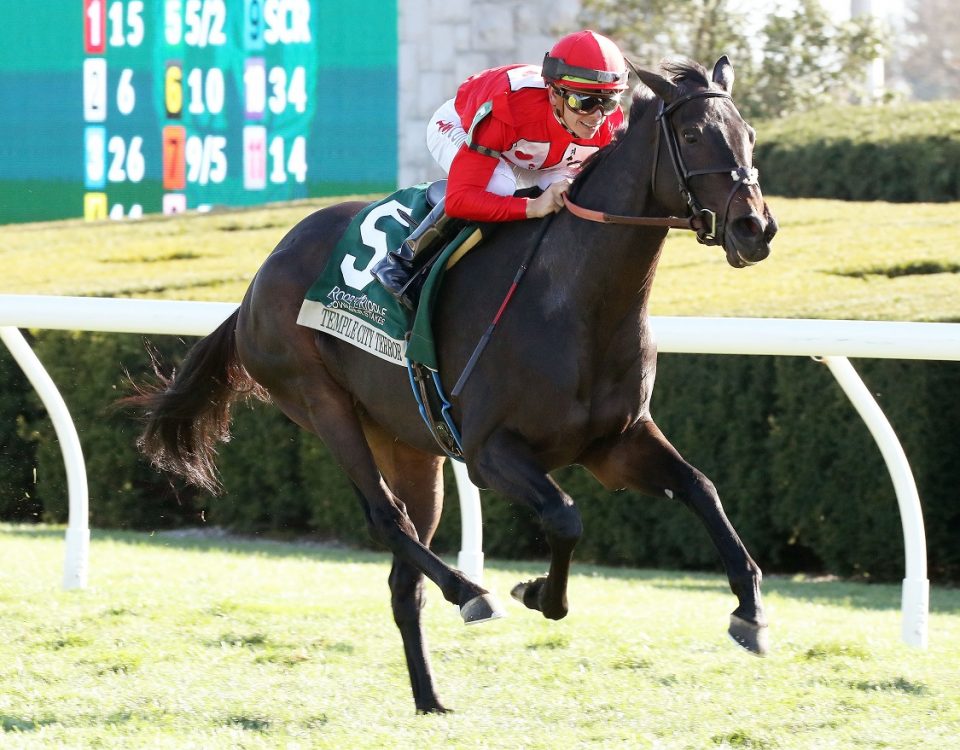 Temple City Terror - Dowager Stakes - Coady Photography