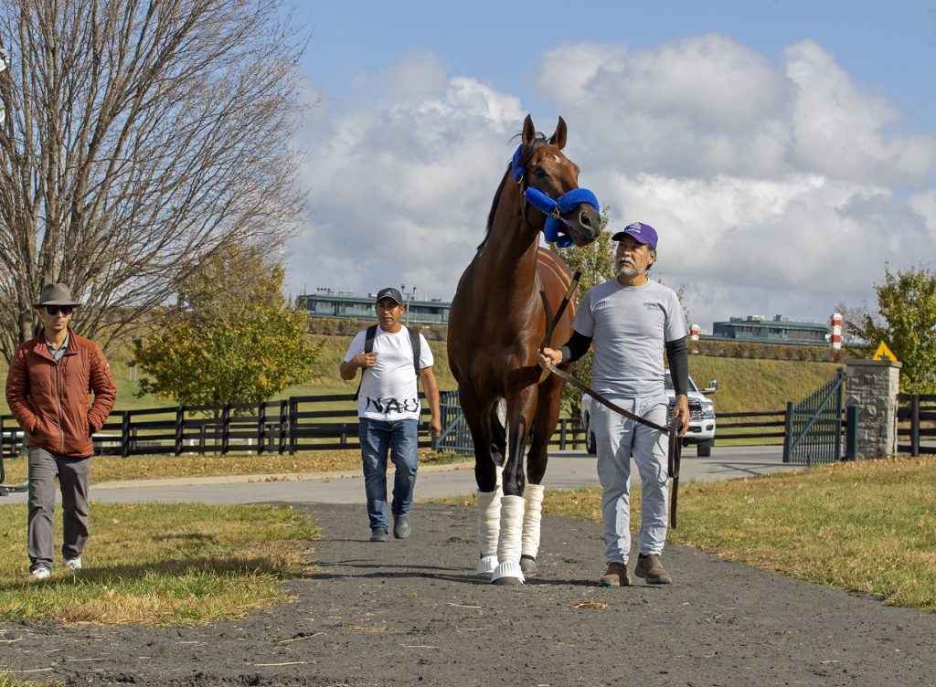 Flightline - Keeneland Nov. 6 - Barbara D. Livingston