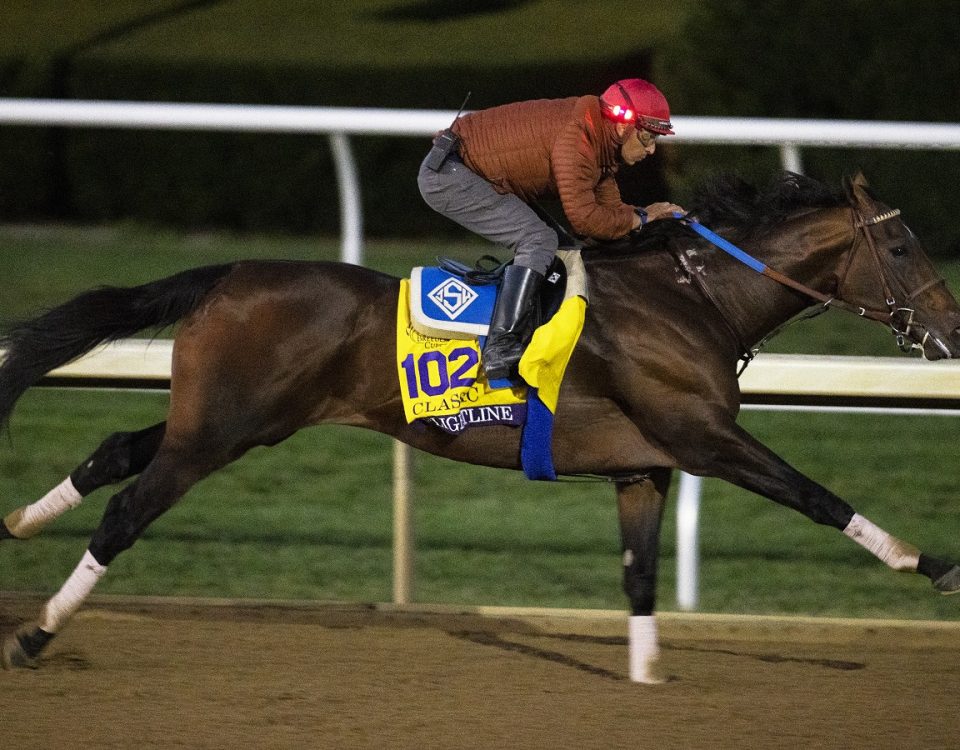 Flightline - Keeneland Workout - Barbara D. Livingston