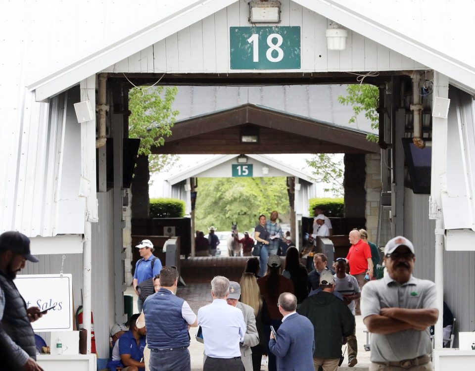 Keeneland Sales - Keeneland Photo