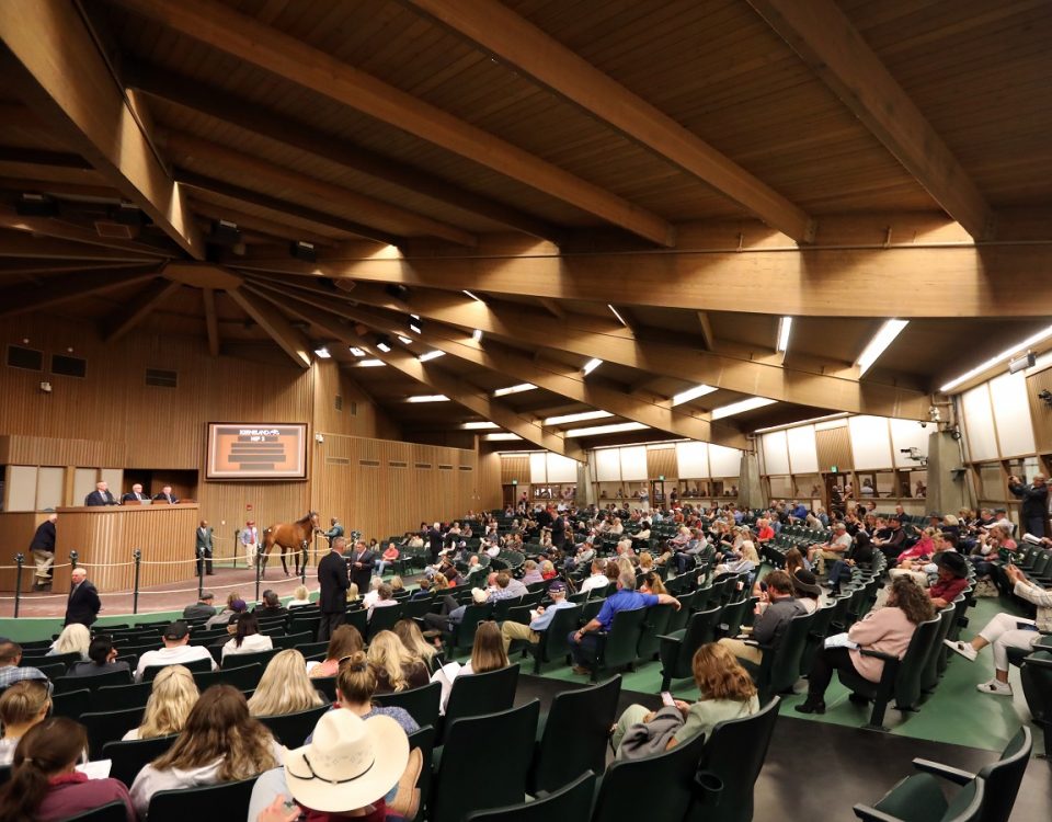 Keeneland Sales Pavillion - Keeneland Photo