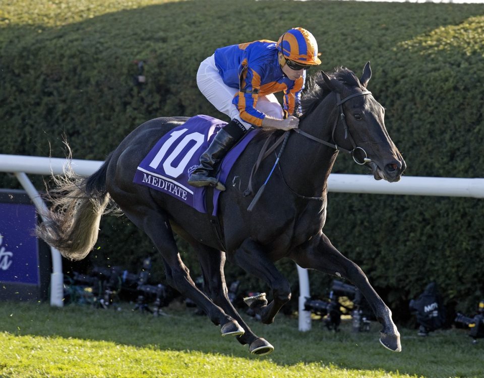 Meditate - BC Juvenile Fillies Turf - Barbara D. Livingston