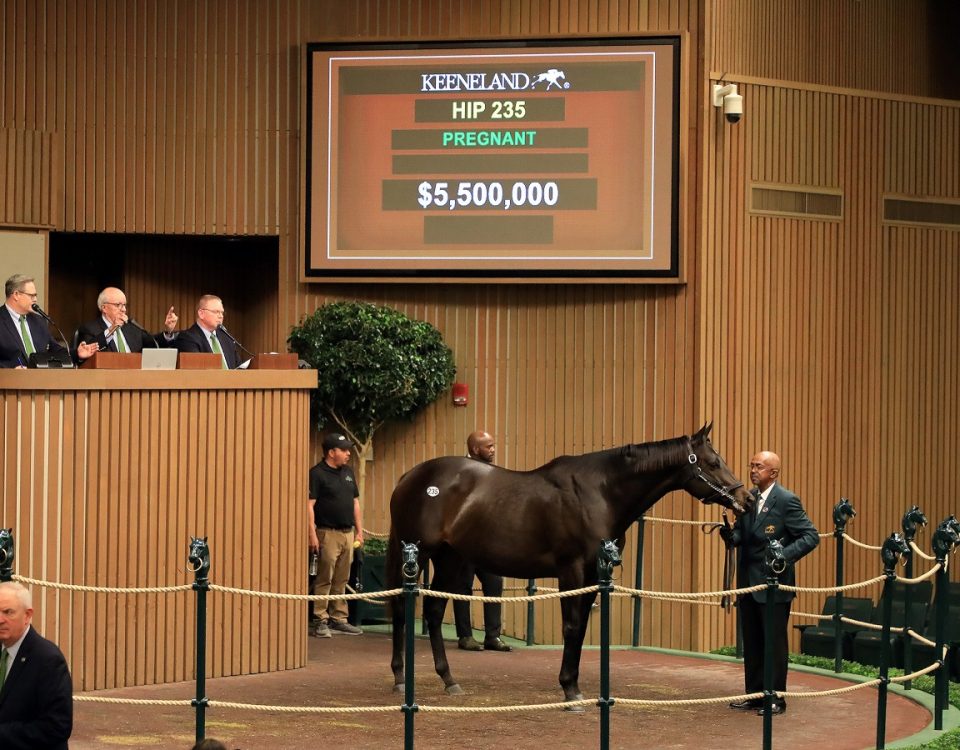 Midnight Bisou - Keeneland Sales - Keeneland Photo