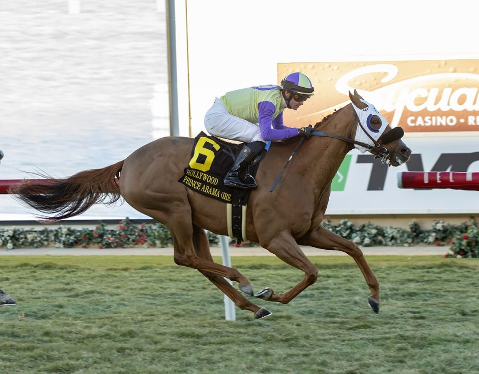 Prince Abama - Hollywood Turf Cup S. - Benoit Photo