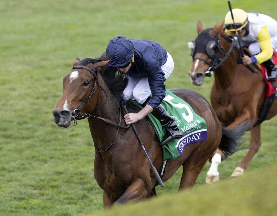 Tuesday - BC Filly and Mare Turf - Debra A. Roma