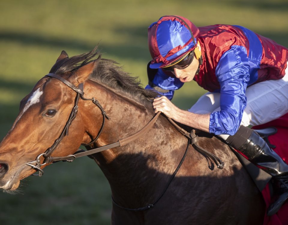 Victoria Road - BC Juvenile Turf - Justin N. Lane