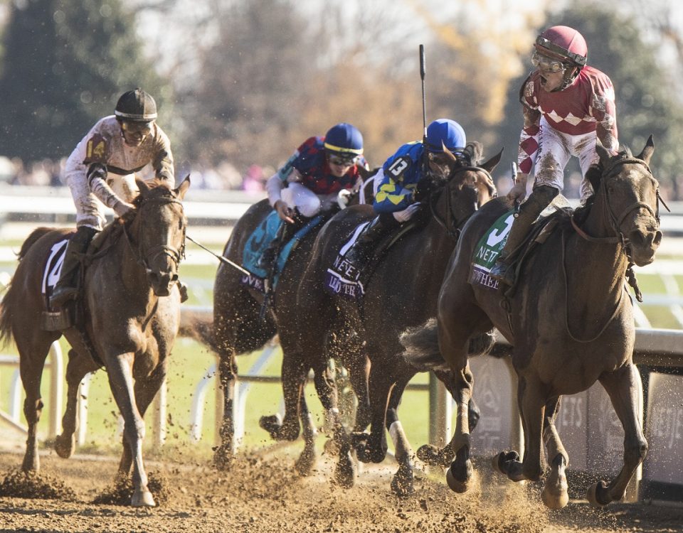 Wonder Wheel - BC Juvenile Fillies - Justin N. Lane