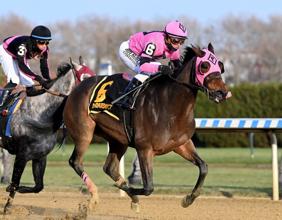 Impazible Donna - NY Stallion Series S. - Coglianese Photo