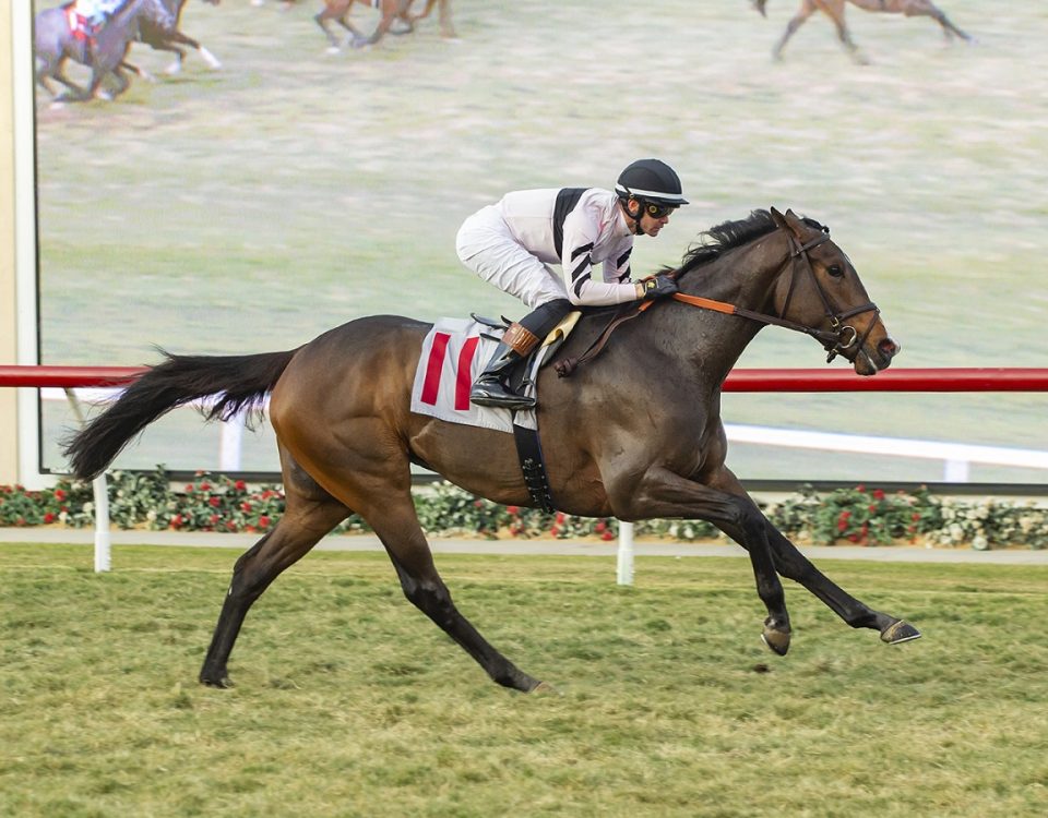 Liguria - Jimmy Durante S. - Benoit Photo