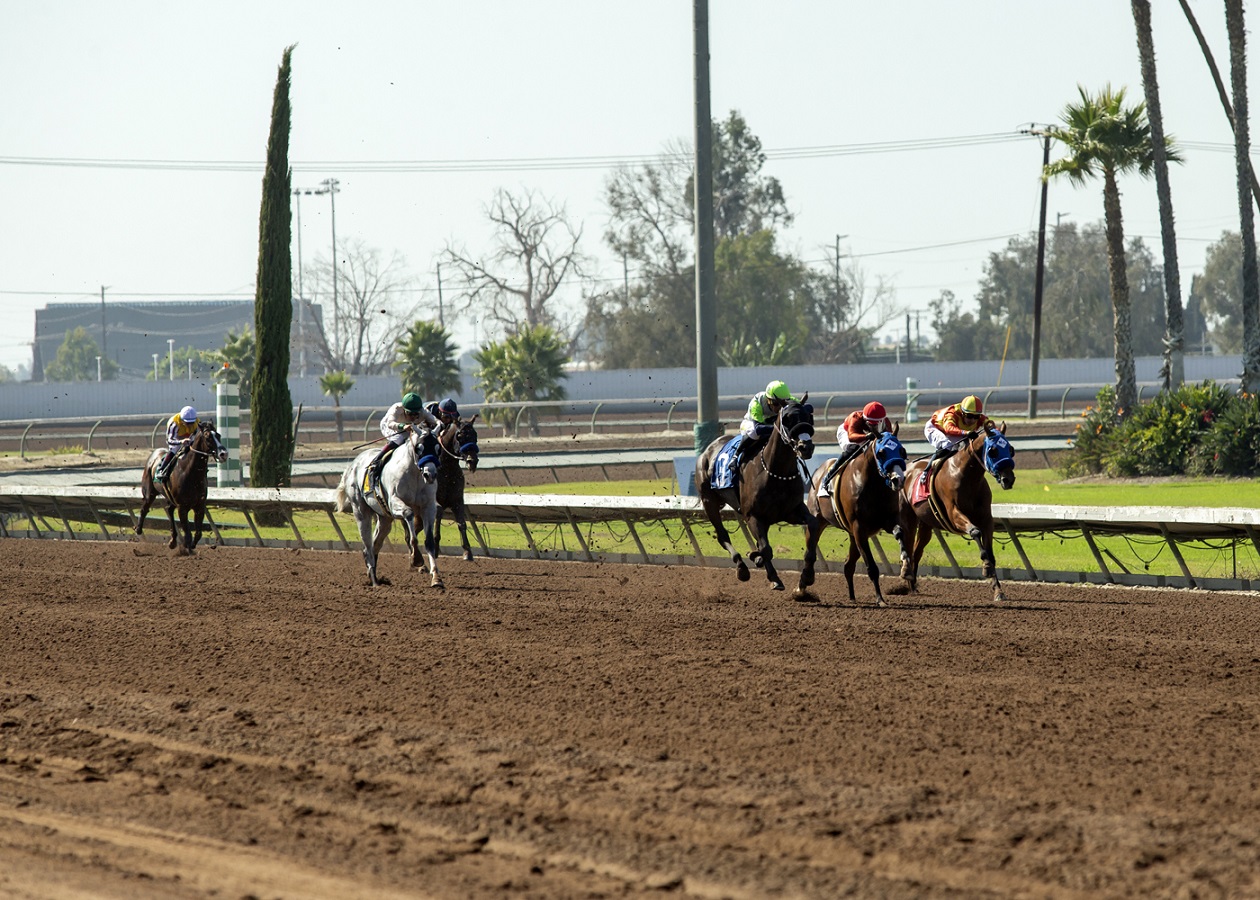 Todo listo para el regreso de los purasangres a Los Alamitos DRF en Español