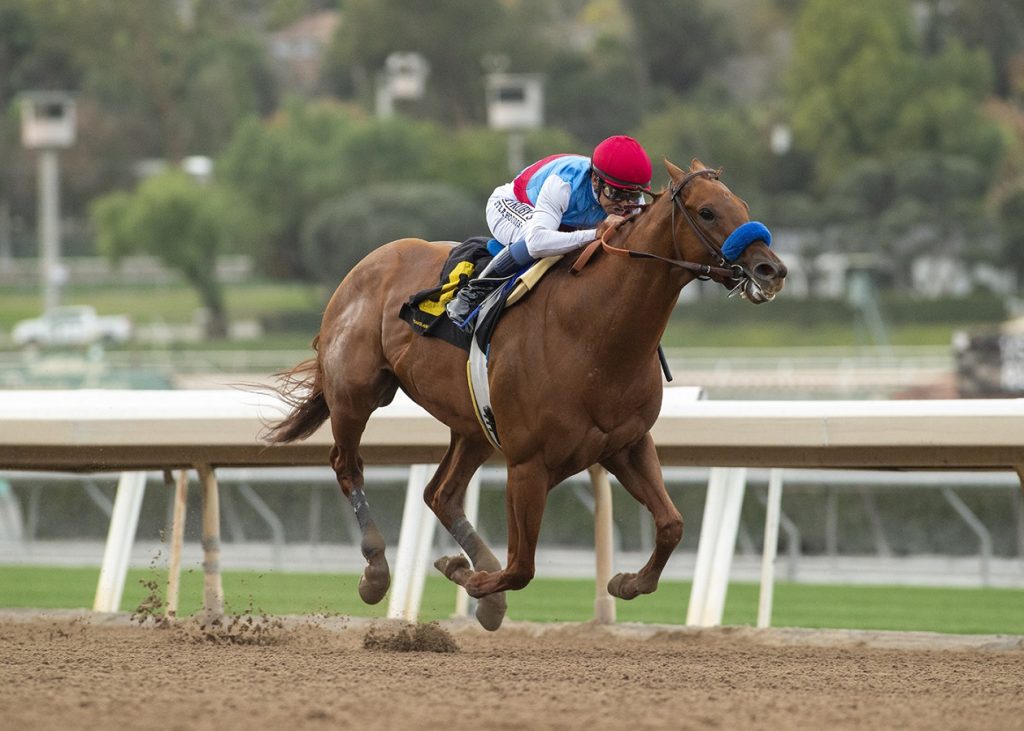 Taiba - Malibu S. - Benoit Photo