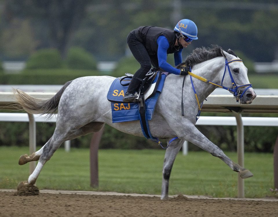 White Abarrio - Saratoga Work - Barbara D. Livingston