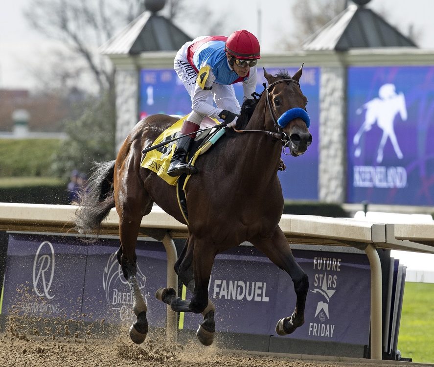 Arabian Knight - Keeneland - Barbara D. Livingston