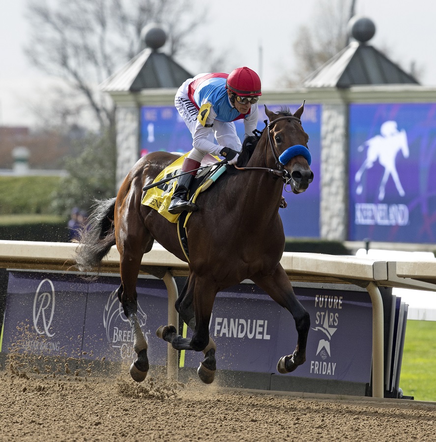 Arabian Knight - Keeneland - Barbara D. Livingston