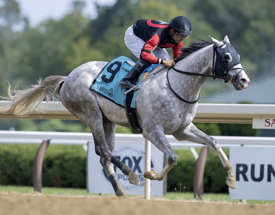 Champions Dream - Saratoga - Barbara D. Livingston